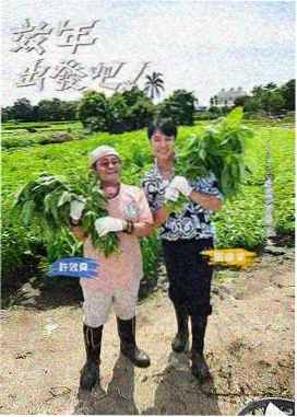 岳云鹏·悬案档案 悬案电视剧在线观看岳云鹏